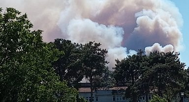 İzmir'de orman yangını
