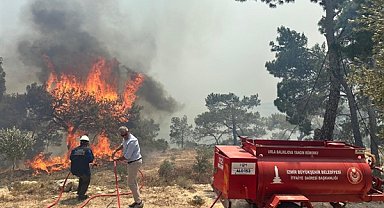 Karaburun’da orman yangını