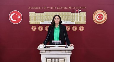 Rızvanoğlu: Kuzey Ormanları ve tarihi Uzun Kemer tehlike altında