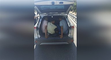Sakarya'da 9 kaçak göçmen yakalandı