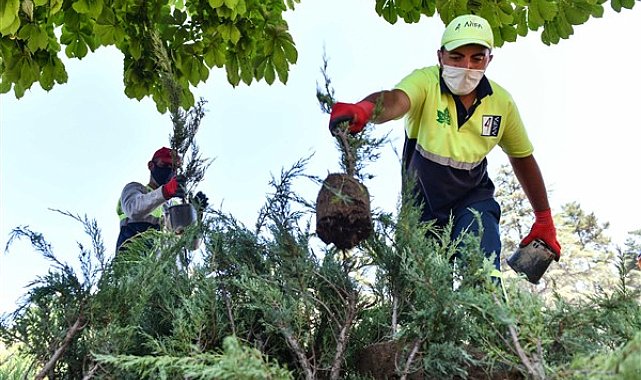 Ankara Büyükşehir'den sıcak hava düzenlemesi
