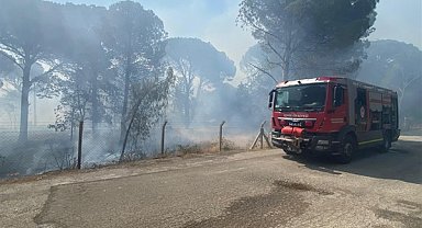 Bergama’da orman yangınına müdahale ediliyor