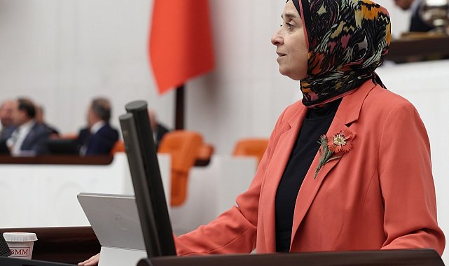 DEVA Partili Esen: Emeklinin hakkı insan onuruna yaraşır bir hayattır