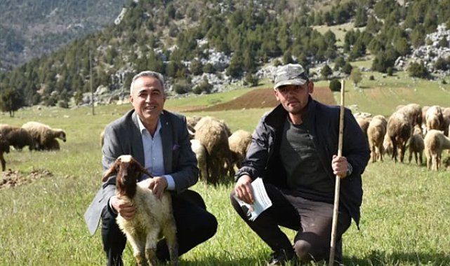 DEVA Partili Karatutlu: Deprem bölgesinde hayvancılık alarm veriyor