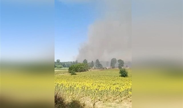 Keşan'da orman yangını
