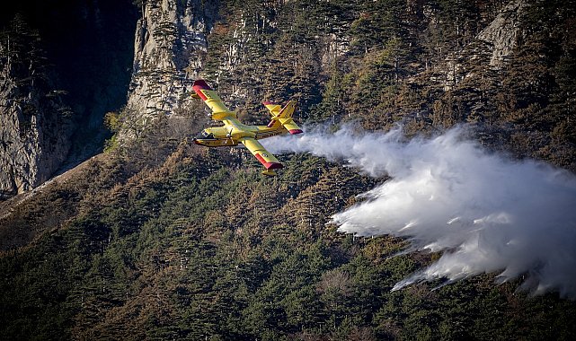 Orman yangınlarını kontrol altına alma çalışmaları devam ediyor