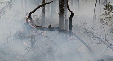 Çanakkale'deki yangınlar büyük ölçüde kontrol altına alındı