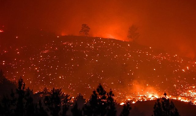 Hatay’daki orman yangınlarının soğutma çalışmaları sürdürülüyor