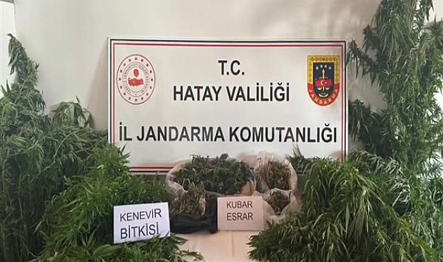 Hatay İl Jandarma Komutanlığı'ndan uyuşturucu operasyonu