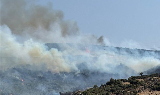 İzmir İtfaiyesi Aliağa’daki yangına müdahale ediyor