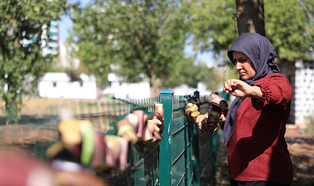 Kayapınar’da kadınlar kurutmalık patlıcan üretti