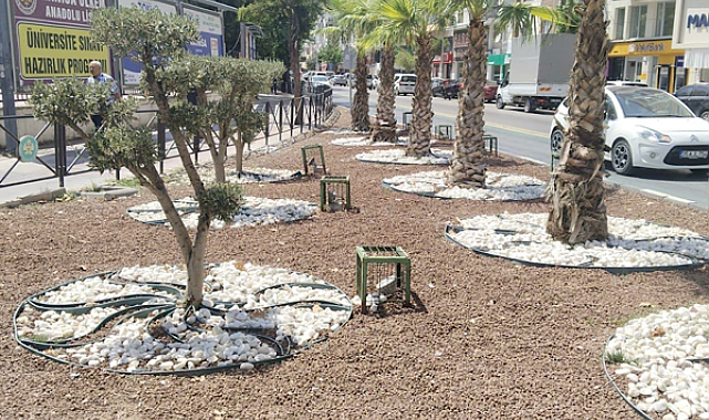 Manisa Büyükşehir Belediyesi'nden kurakçıl peyzaj uygulaması