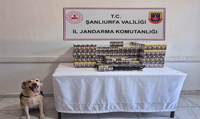 Şanlıurfa'da tütün ve alkol kaçakçılarına yönelik çalışmalar gerçekleştirildi