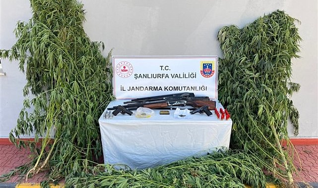 Şanlıurfa'da kaçak tütün ve alkol operasyonu