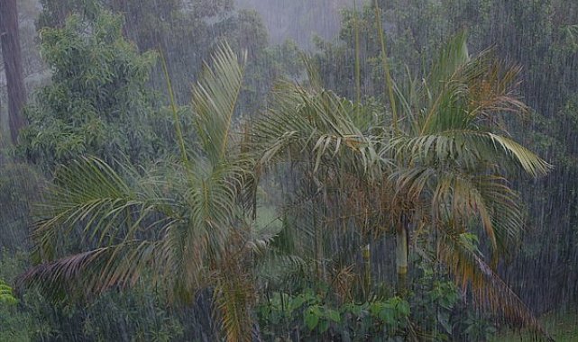 Meteoroloji'den Ankara, Zonguldak ve Doğu Karadeniz için kuvvetli yağış uyarısı
