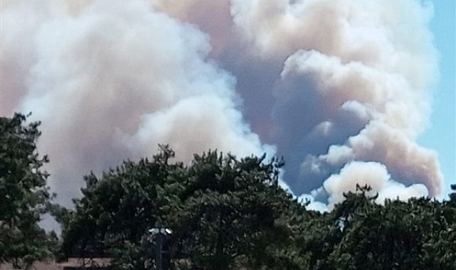 Muğla’da orman yangınlarıyla mücadele