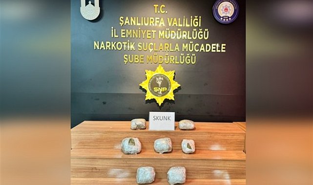 Şanlıurfa’da bir araçta 1 kilo 450 gram skunk ele geçirildi