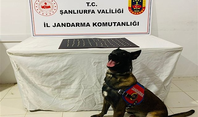 Şanlıurfa'da uyuşturucu operasyonu