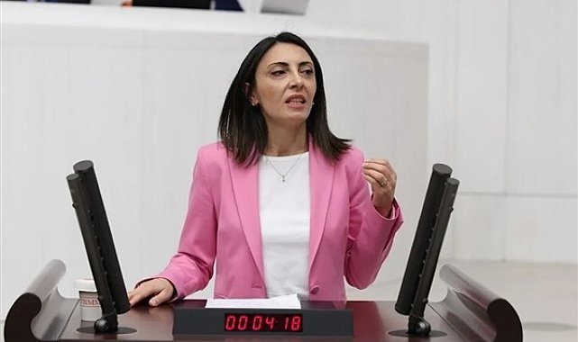 Kayışoğlu: İnsan hakları ihlalleri artıyor ancak denetim mekanizmaları işlevsiz halde