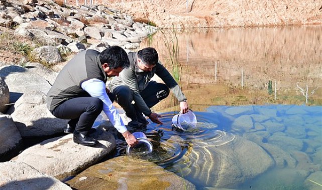Kırşehir Valisi Demiryürek, Aşıkpaşa Göletine kırmızı benekli alabalıkları bıraktı