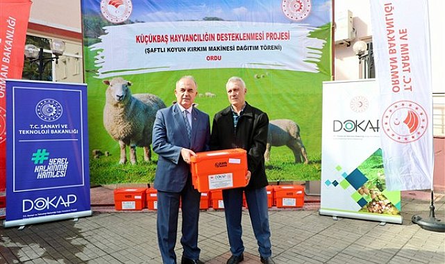 Ordu'da koyun yetiştiricilerine şaftlı kırkım makinesi dağıtımı yapıldı