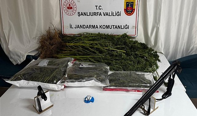 Siverek'te yapılan operasyonda çok sayıda uyuşturucu ve silah ele geçirildi