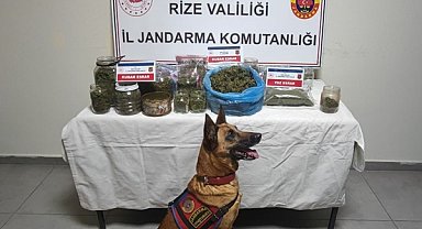 Rize'de uyuşturucu operasyonu: 5 gözaltı