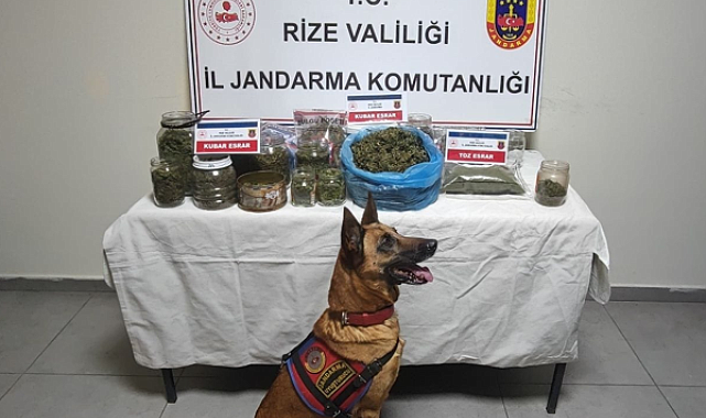 Rize'de uyuşturucu operasyonu: 5 gözaltı