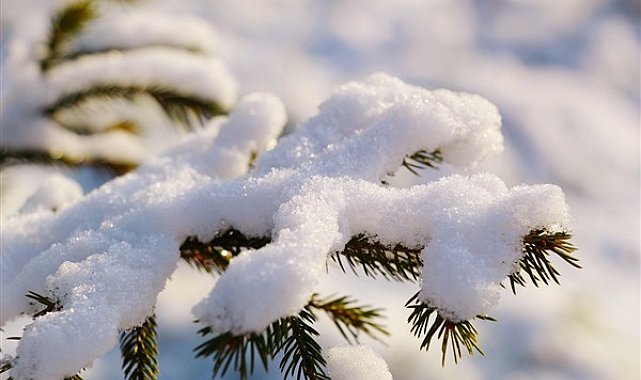 Doğu kesimlerde kuvvetli yağışlar bekleniyor