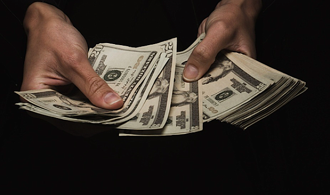 İstanbul merkezli 36 şahıs ve 9 şirkete yasadışı döviz operasyonu