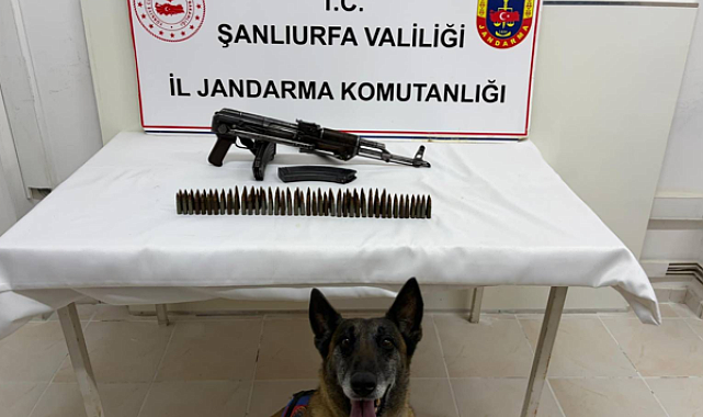 Şanlıurfa’da silah operasyonu