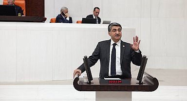 Ekmen: Büyükbaş hayvancılıkta Türkiye adeta bir ithalat cennetine dönmüştür