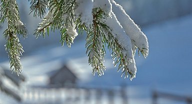 Ordu’nun bazı ilçelerinde eğitime 1 günlük ara verildi