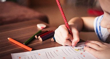 Viranşehir ve Ceylanpınar'da taşımalı eğitime 1 gün ara verildi