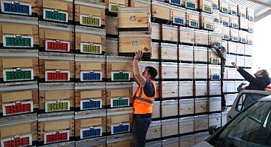 Büyükşehirden arıcılığa kovan desteği