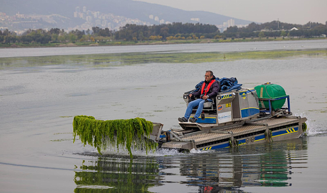 Çakalburnu Lagünü’nde oluşan yosunlara yönelik temizlik çalışmaları sürüyor