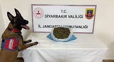 Diyarbakır’da uyuşturucu ile mücadele operasyonları gerçekleştirildi