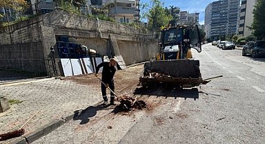Gemlik Belediyesi’nden bahar temizliği çalışması