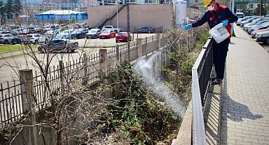 Giresun'da ilaçlama çalışmaları sürüyor