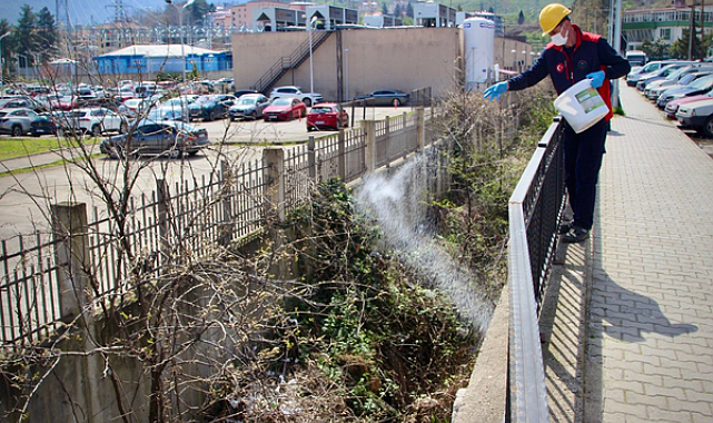 Giresun'da ilaçlama çalışmaları sürüyor