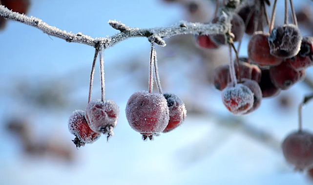 İç ve doğu kesimlerde zirai don uyarısı
