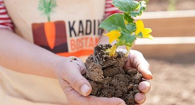 Kadıköy Bostanları'nda ilk fideler toprakla buluştu