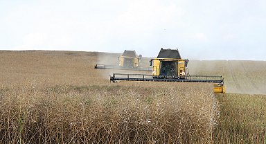 Kayseri’de üreticiye 350 ton tohum desteği