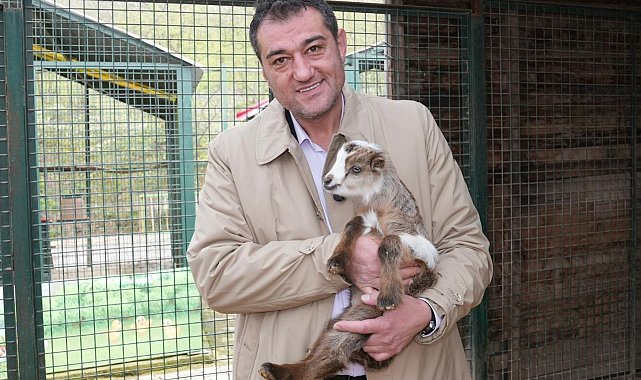 Köse: Sokak hayvanlarının yaşam hakkını unutmayalım