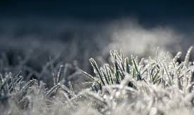 Meteoroloji'den zirai don ve çığ uyarısı