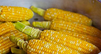 Ticaret Bakanlığı’ndan mısır ithalatına yeni düzenleme