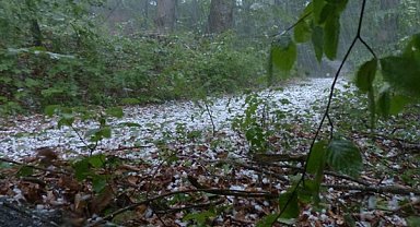 Meteoroloji’den kuvvetli yağış uyarısı