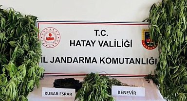 Samandağ’da uyuşturucu operasyonu