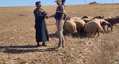 Şanlıurfa’da kayıp 17 küçükbaş hayvan bulundu