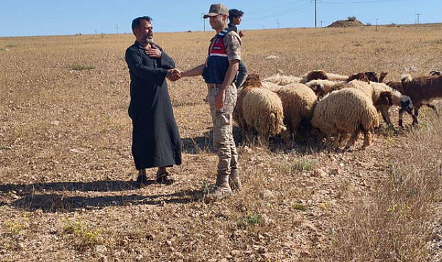 Şanlıurfa’da kayıp 17 küçükbaş hayvan bulundu